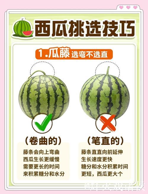 免费吃瓜攻略：我爱吃瓜官网教你如何轻松获取瓜果！